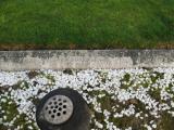 image of grave number 855926